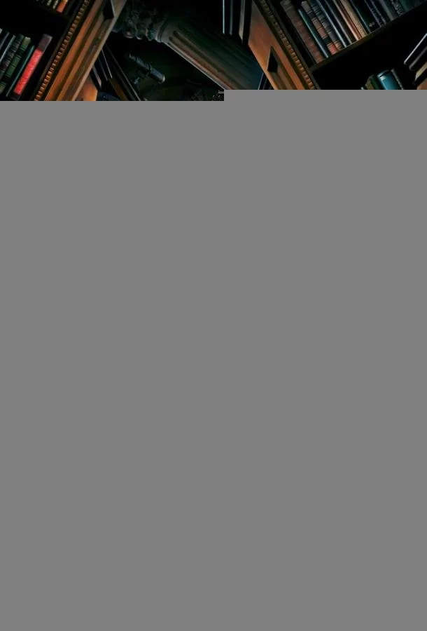 Постер Библиотекари: Следующая глава